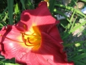 lipiec06_12