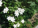 lipiec06_24