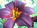 lipiec06_42