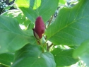 lipiec06_49