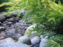 lipiec06_54