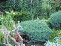 lipiec06_55