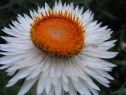 lipiec06_56