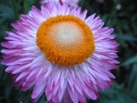 lipiec06_57