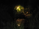 lipiec06_61