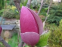 maj022