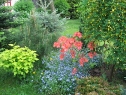 maj130