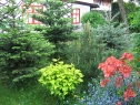 maj131