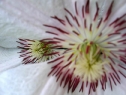 sierpien06_25