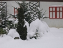 styczen07_20