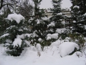 styczen07_21