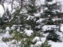 styczen07_22