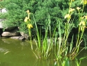 wiosna_103