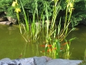 wiosna_105