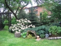 wiosna_11