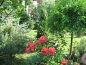 wiosna_111