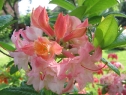 wiosna_114