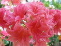 wiosna_117