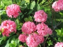 wiosna_119