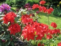wiosna_137
