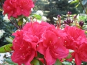wiosna_138