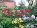 wiosna_141