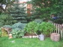 wiosna_161
