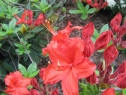 wiosna_55