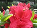 wiosna_60