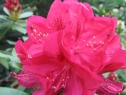 wiosna_70