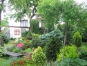 wiosna_71