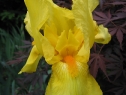 wiosna_76