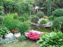 wiosna_9